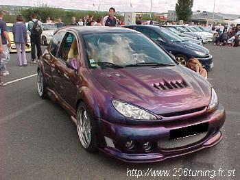 206 cameleon